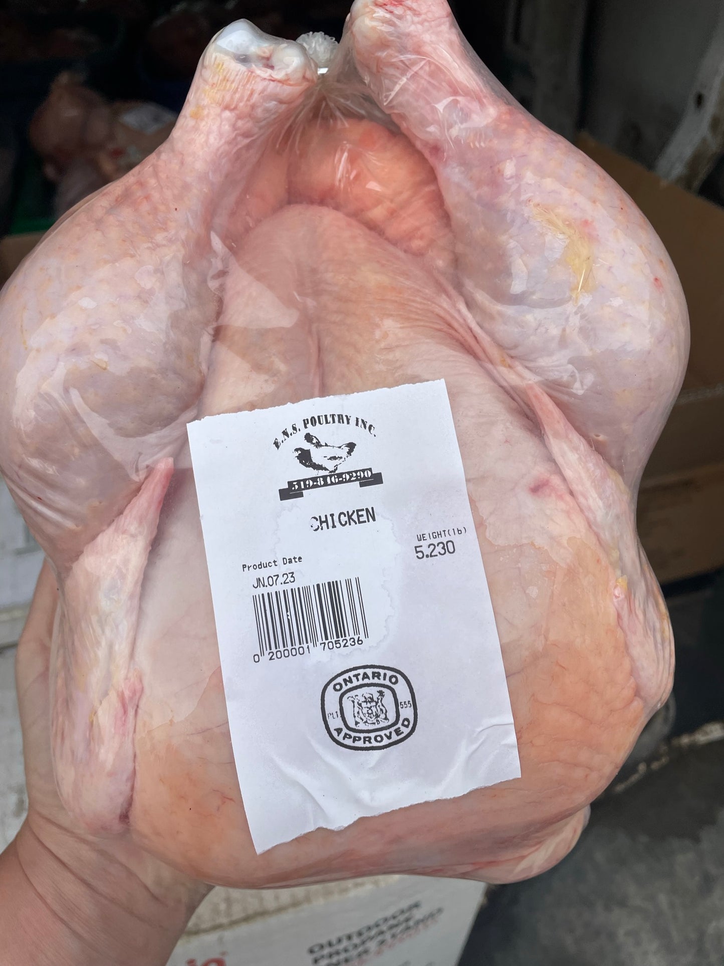 Pasture Raised Whole Chicken
